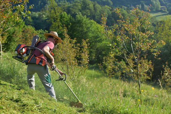 Cost of Slope Trimming in Perrysburg