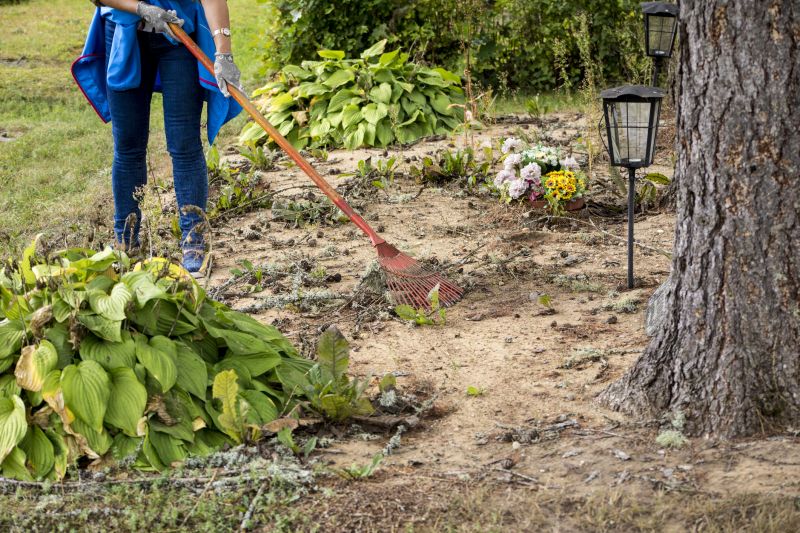 Dirt Removal Service